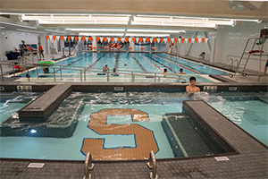 View of the pool area